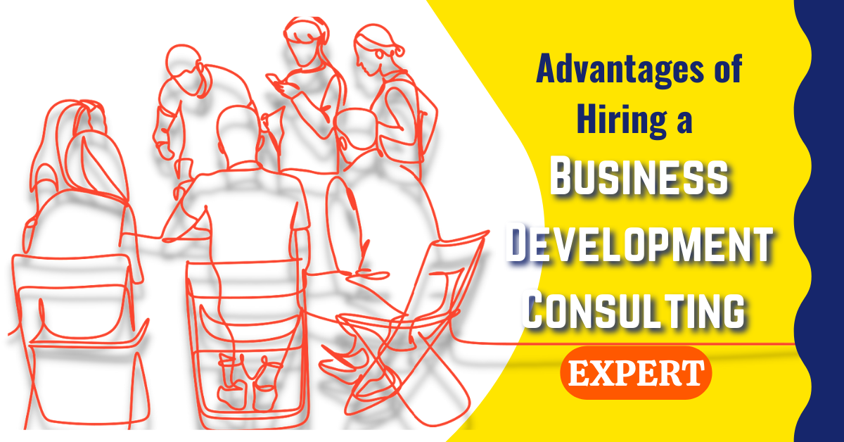 benefits of having business development consulting expert